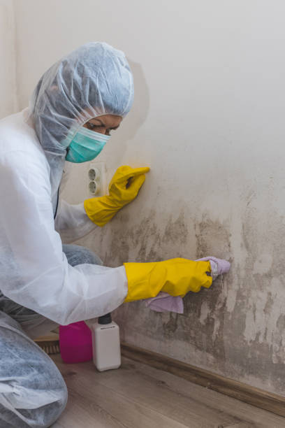 Best Airborne Mold Testing  in Yamhill, OR