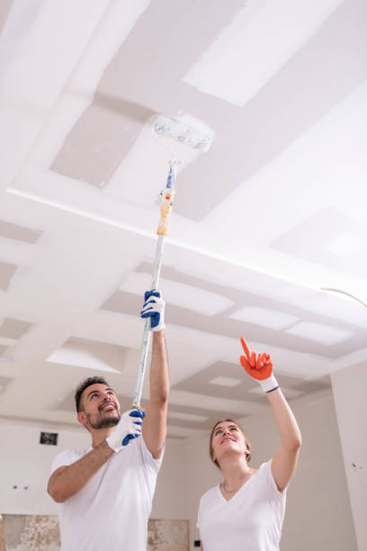 Best Mold Odor Removal Services  in Yamhill, OR